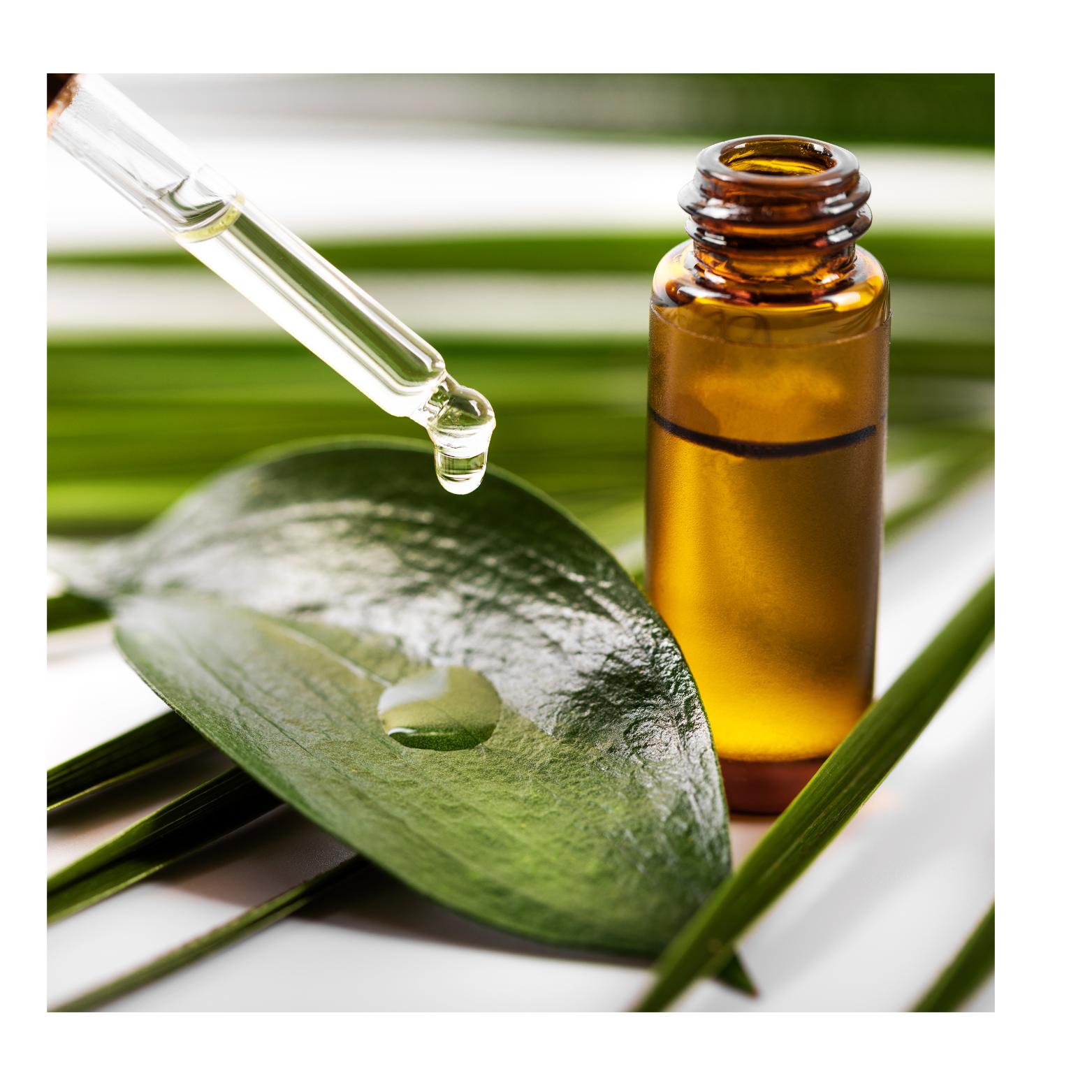 aceite palo rosa